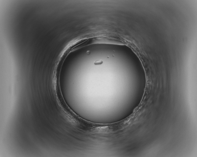 X0000116630054200912181333