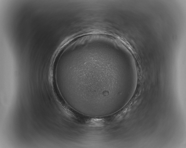 X0000116630055200912181333