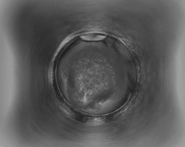 X0000116630056200912181333