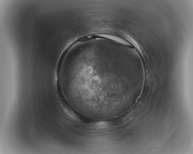 X0000116630059200912181333