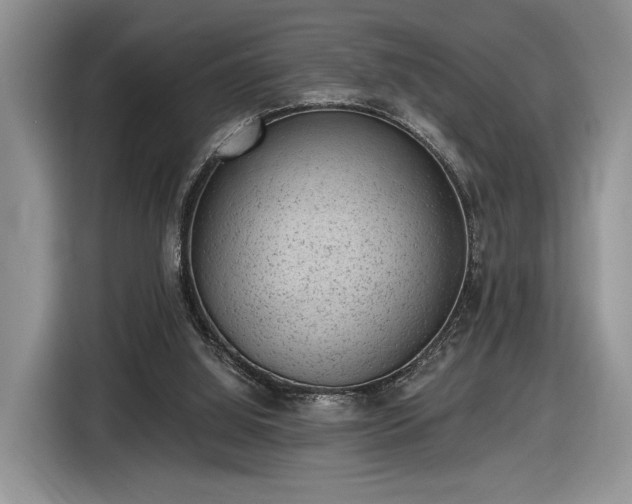 X0000116630060200912181333