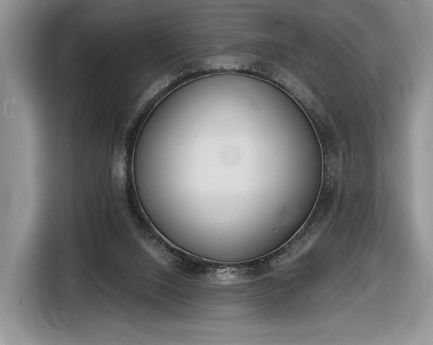 X0000116630064200912181333