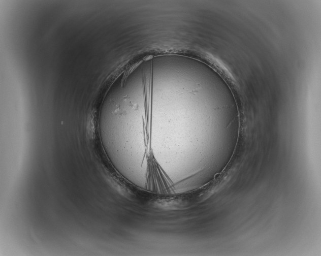 X0000116630065200912181333