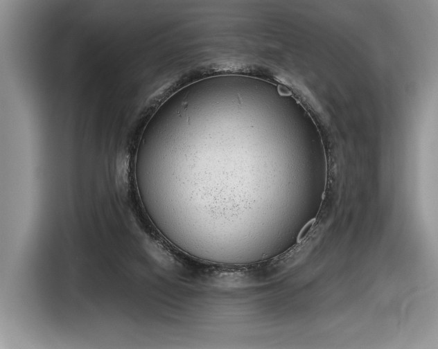 X0000116630066200912181333