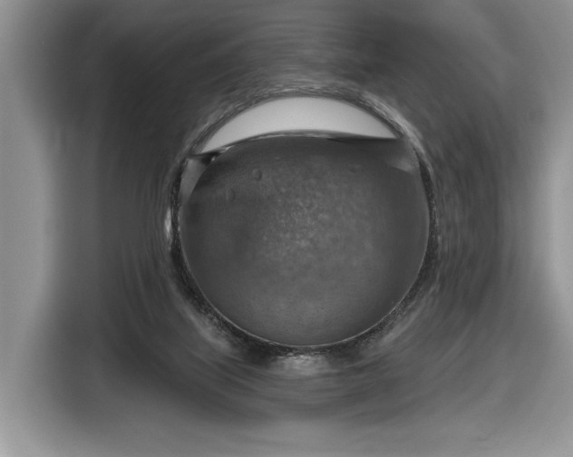 X0000116630067200912181333