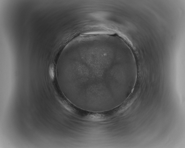 X0000116630069200912181333