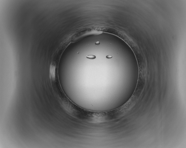 X0000116630070200912181333