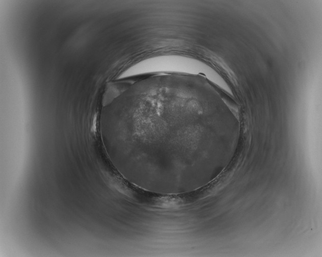 X0000116630073200912181333