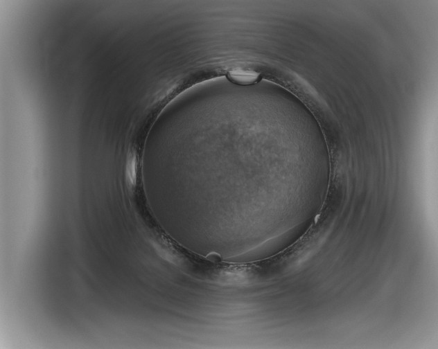 X0000116630076200912181333