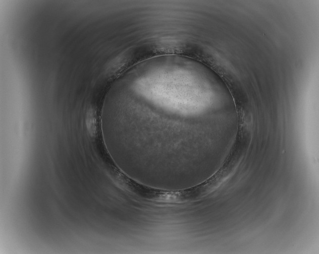 X0000116630080200912181333