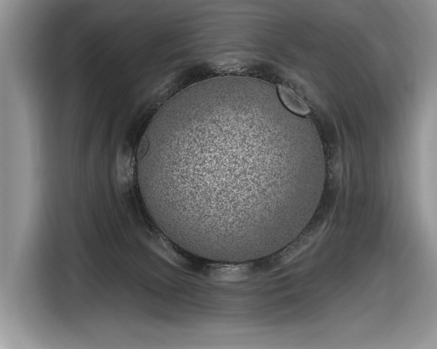 X0000116630081200912181333