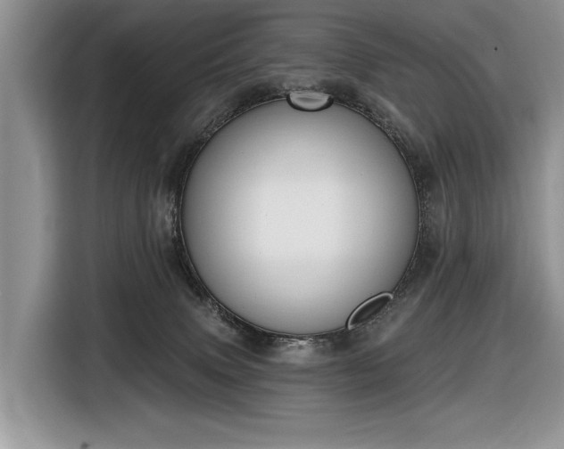 X0000116630083200912181333