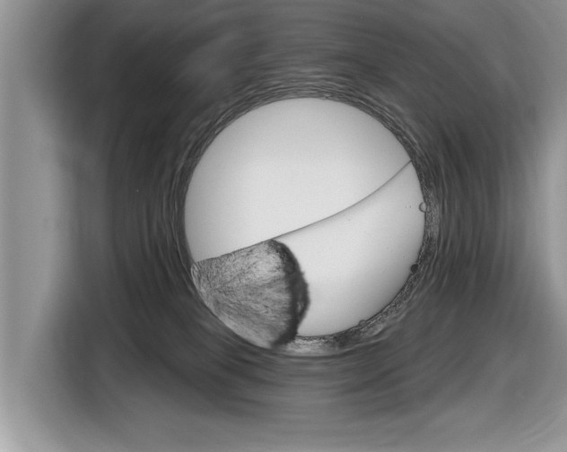 X0000116630085200912181333