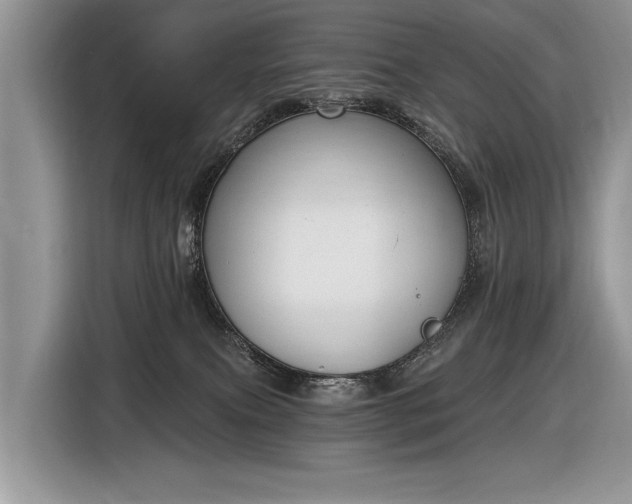 X0000116630087200912181333