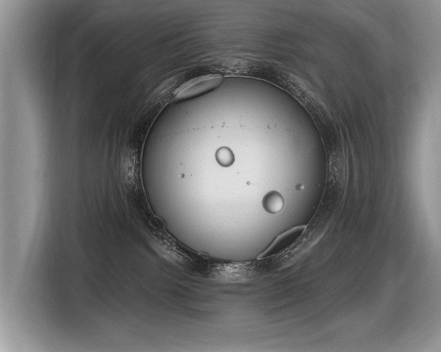 X0000116630092200912181333