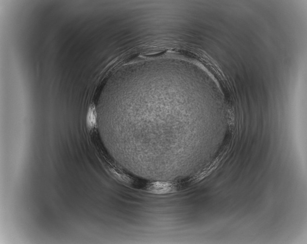 X0000116630095200912181333