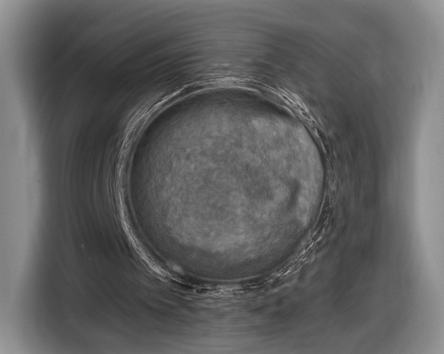 X0000116630097200912181333