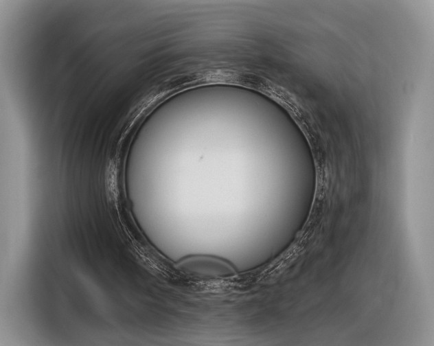 X0000116630098200912181333