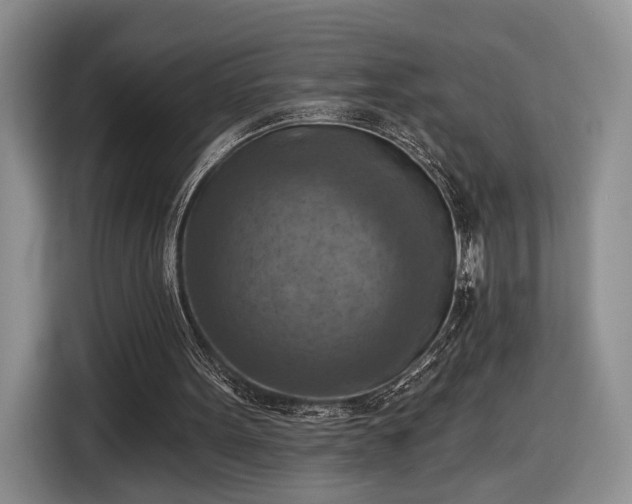 X0000116630099200912181333