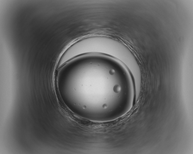 X0000116630100200912181333