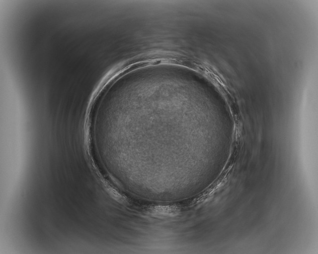 X0000116630101200912181333