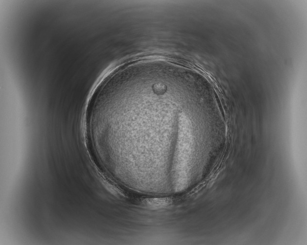 X0000116630102200912181333