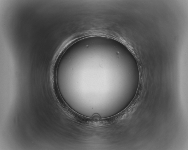 X0000116630103200912181333