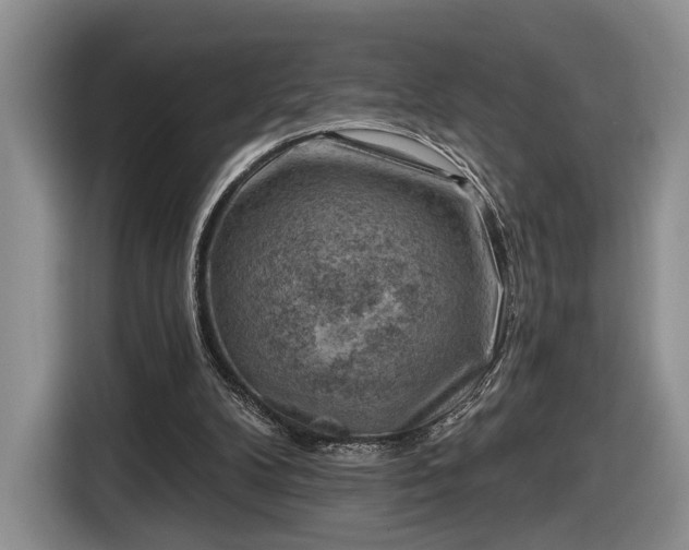 X0000116630104200912181333