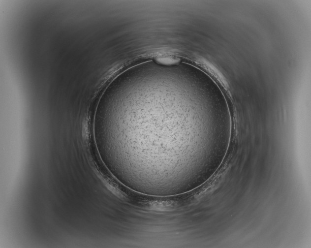 X0000116630105200912181333