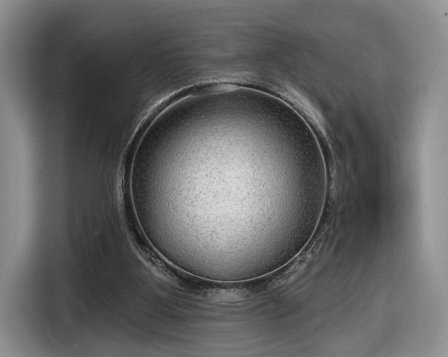 X0000116630107200912181333