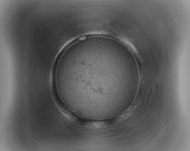 X0000116630108200912181333