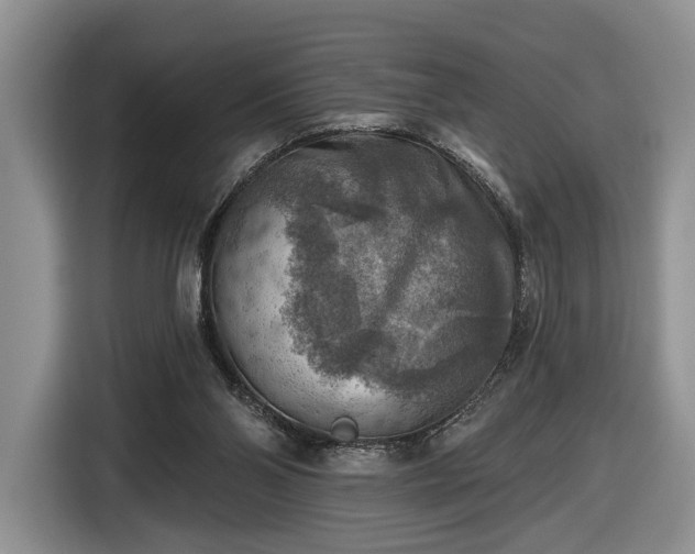 X0000116630110200912181333