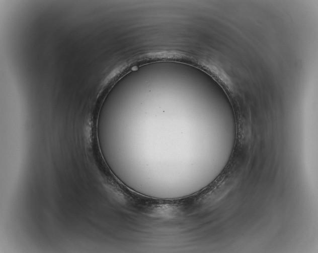 X0000116630111200912181333