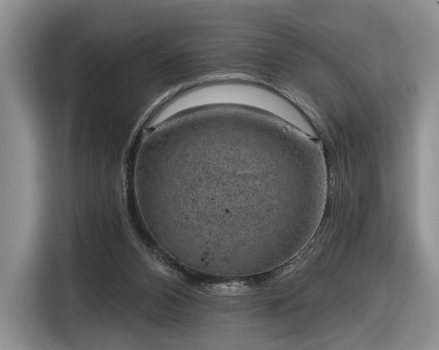 X0000116630112200912181333