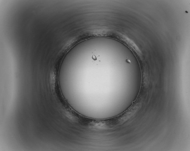 X0000116630113200912181333