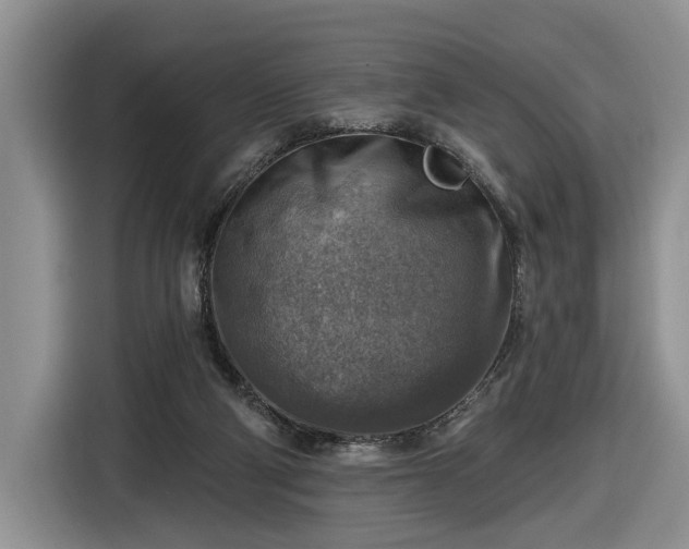 X0000116630114200912181333