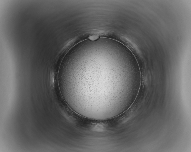 X0000116630115200912181333