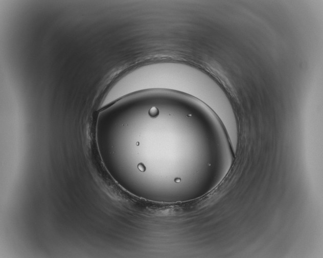 X0000116630116200912181333