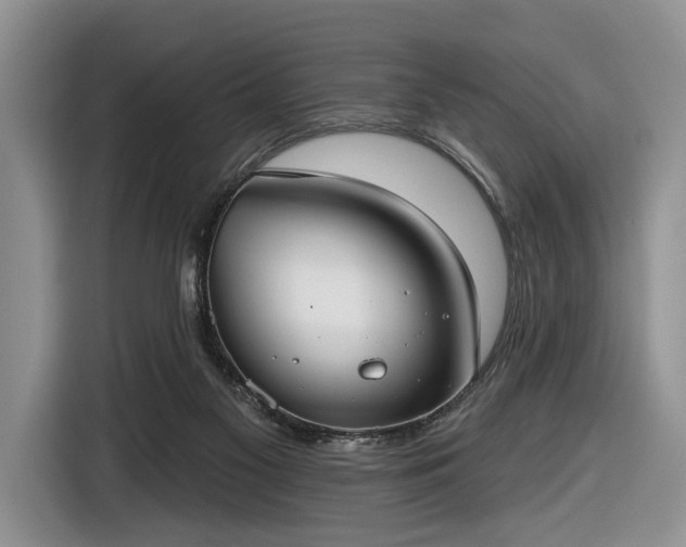 X0000116630117200912181333