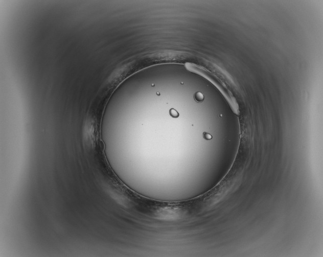 X0000116630119200912181333