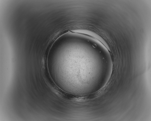 X0000116630120200912181333