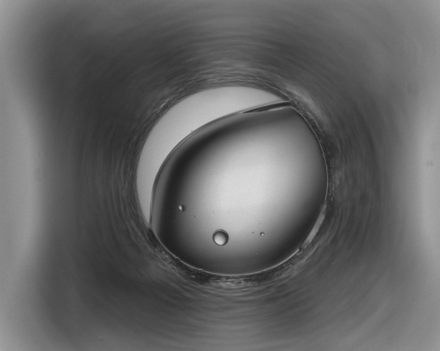 X0000116630121200912181333