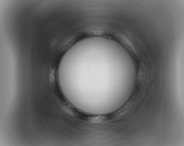 X0000116630122200912181333