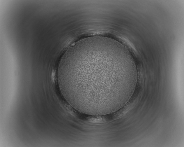 X0000116630123200912181333