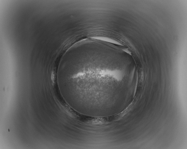 X0000116630124200912181333