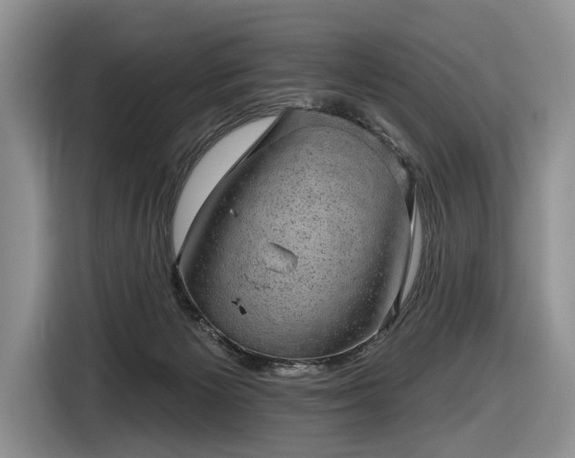 X0000116630125200912181332