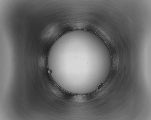 X0000116630126200912181332