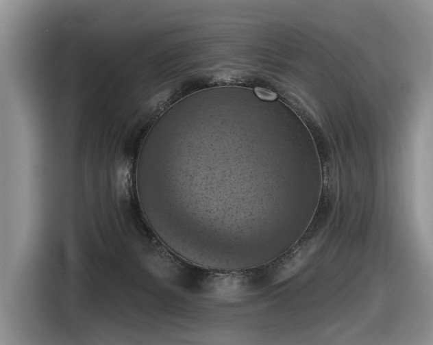 X0000116630127200912181332