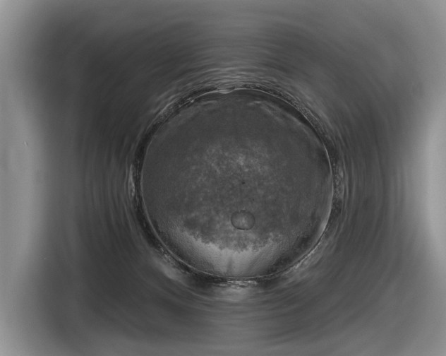 X0000116630128200912181332