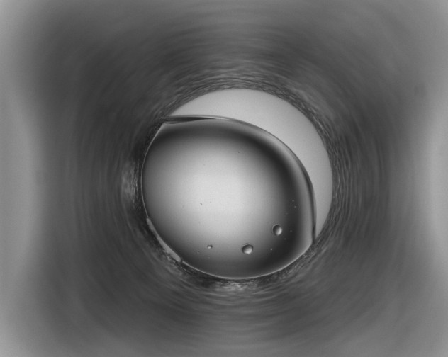 X0000116630129200912181332